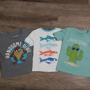 Boy's shirt lot 🌵